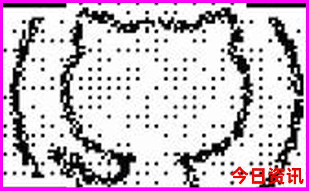 五来六去合七码准确生肖